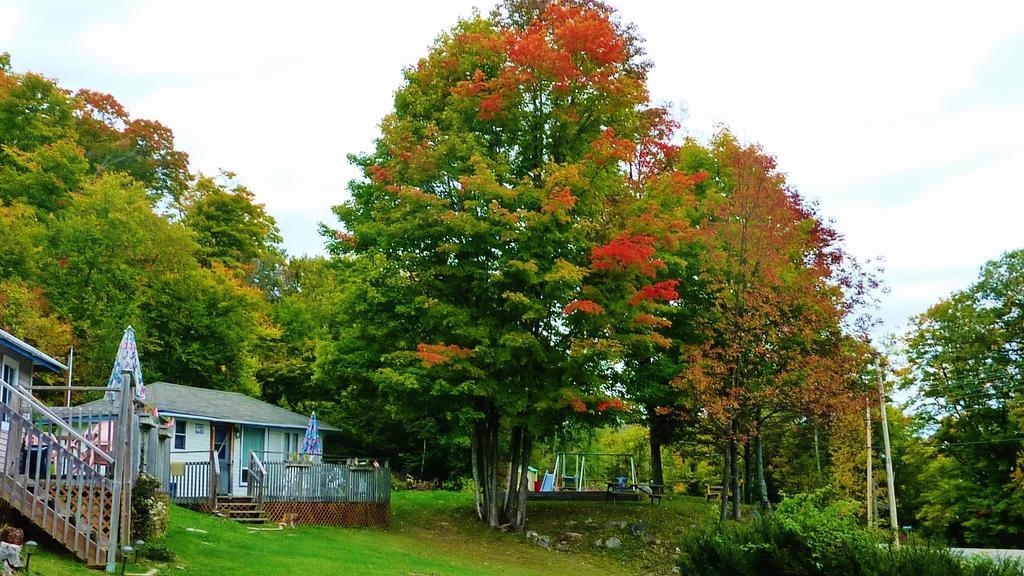 Silver Springs Cottage Resort Harcourt Exterior photo