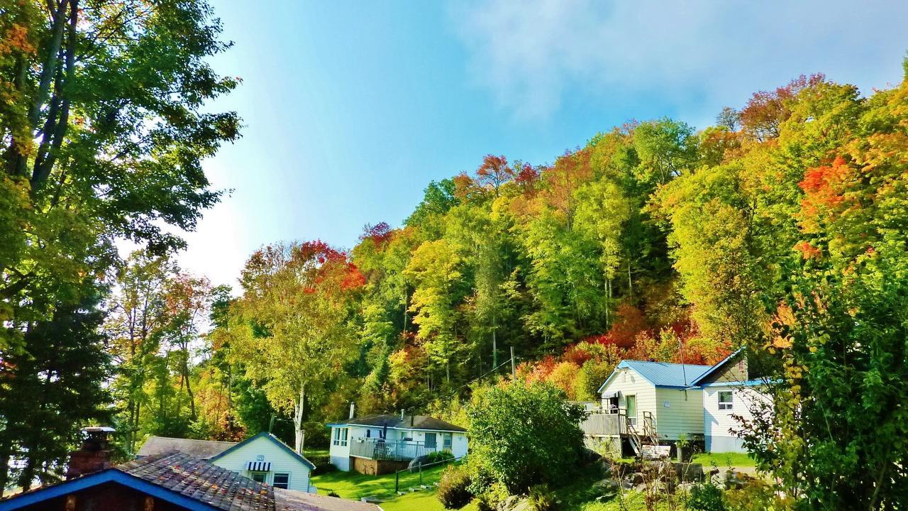 Silver Springs Cottage Resort Harcourt Exterior photo